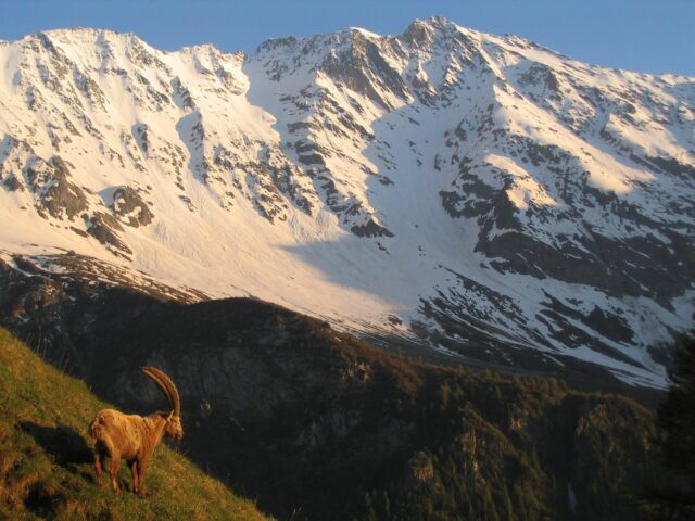 Nationalpark Vanoise