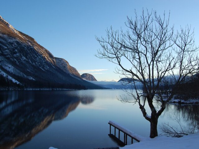 Bohinjer See