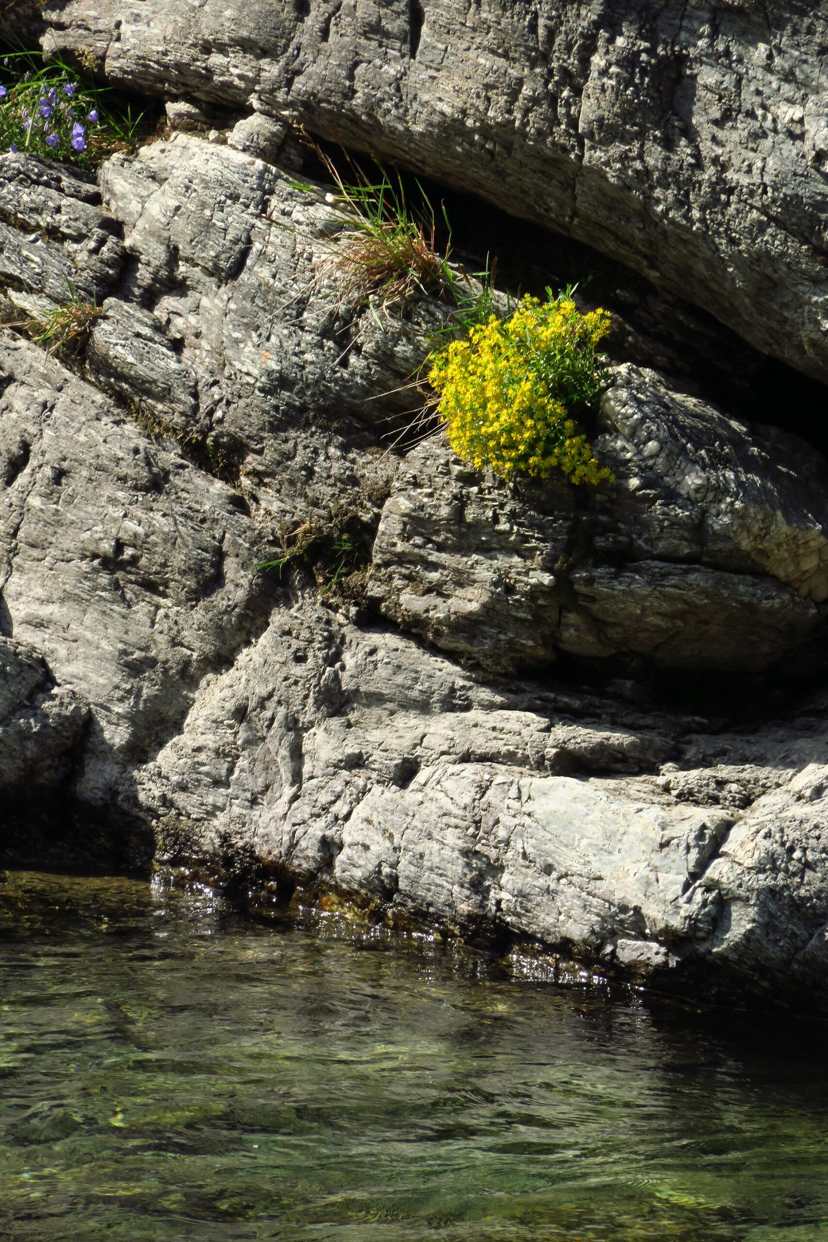 Cogne & Lillaz