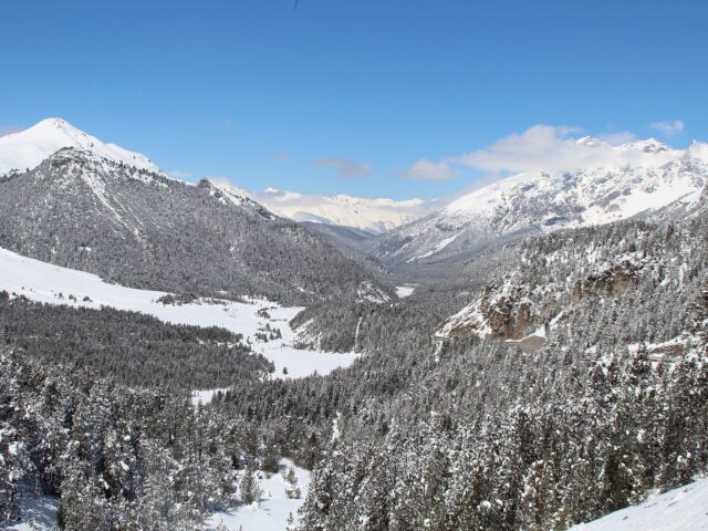 Schweizerischer Nationalpark