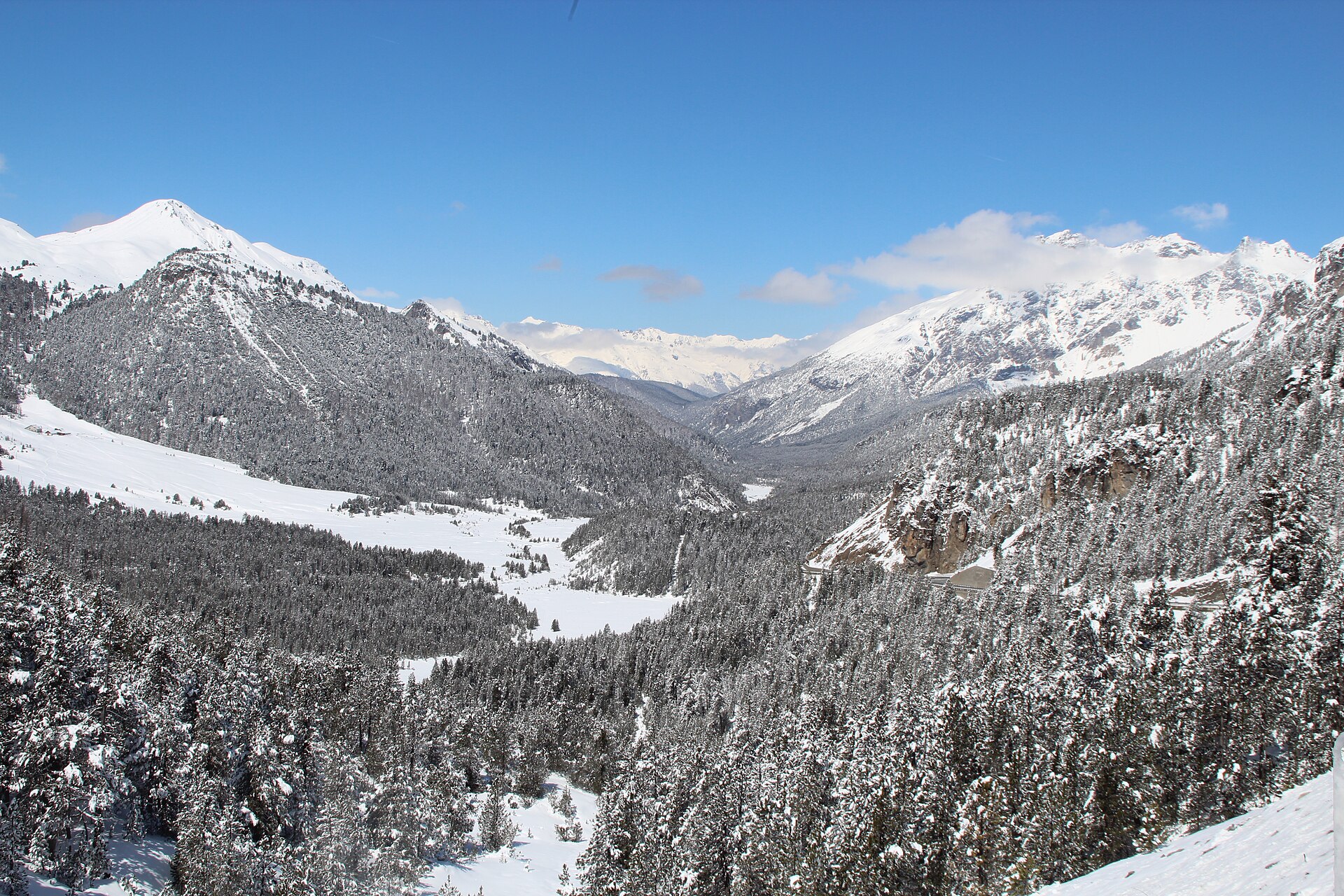 Schweizerischer Nationalpark