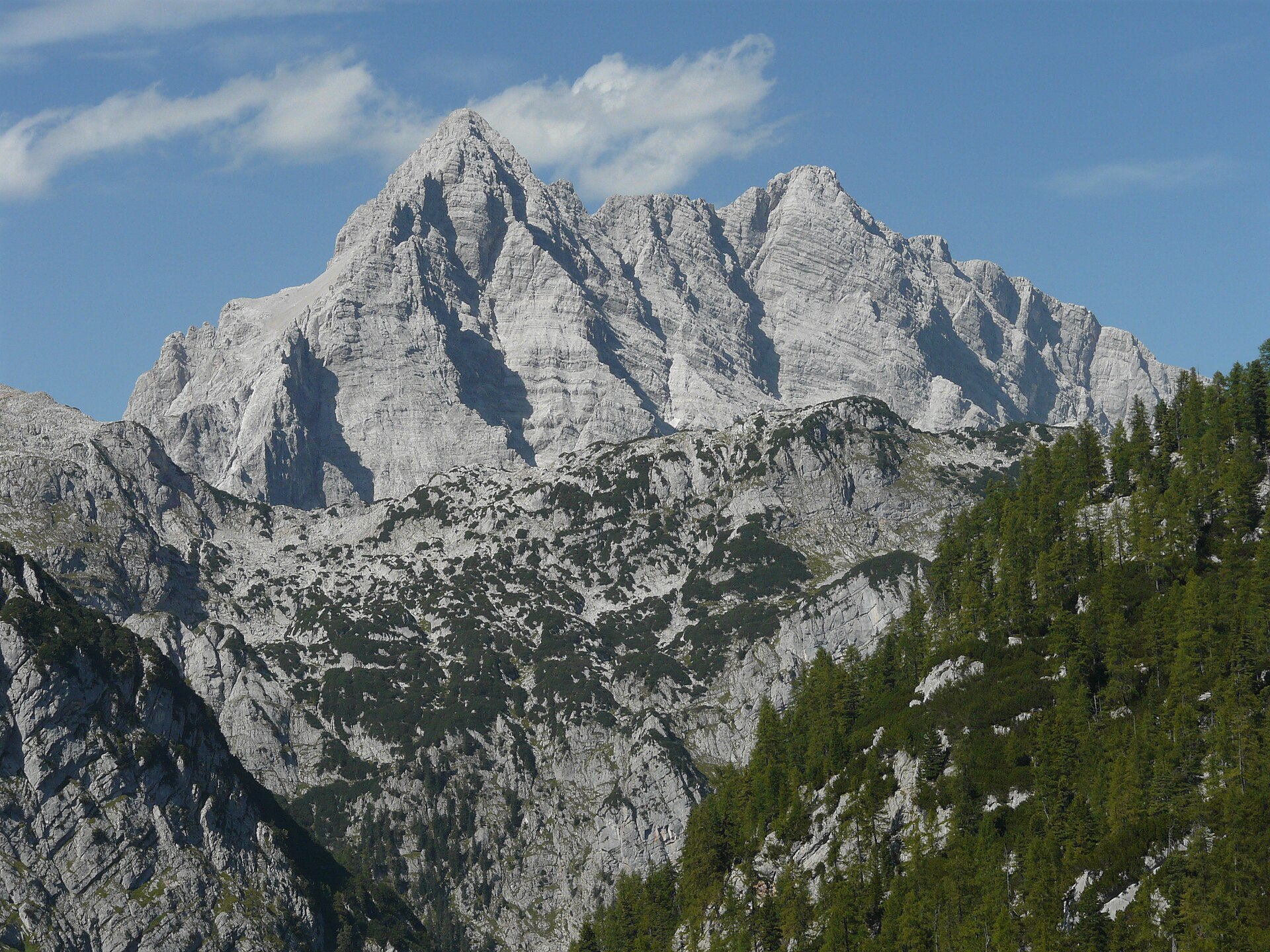 Wildtierbeobachtung im Nationalpark Berchtesgaden